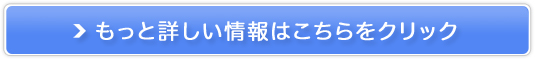 l߂̕ɁuTVA100v̔TCg